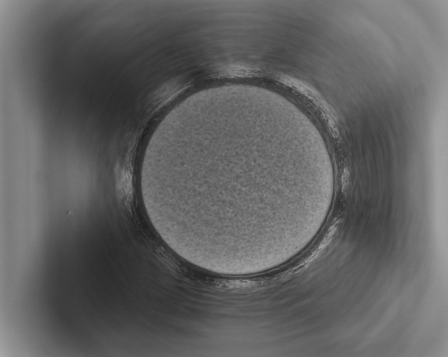 X0000102531209200809051502