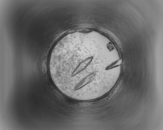 X0000102531212200809051502