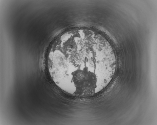 X0000102531213200809051502