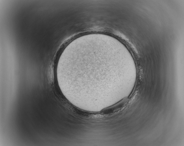X0000102531214200809051502
