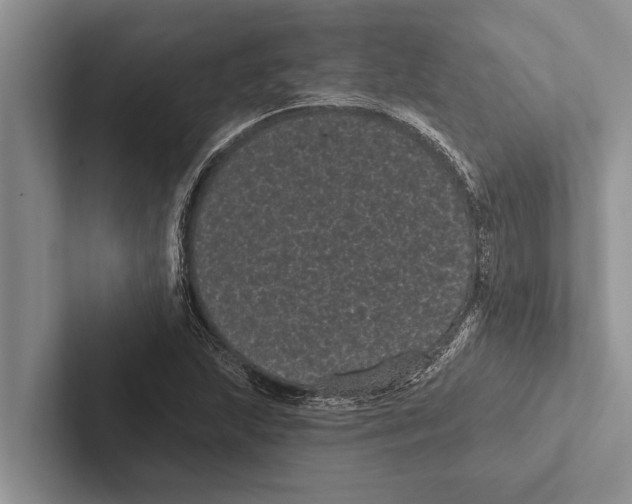 X0000102531215200809051502