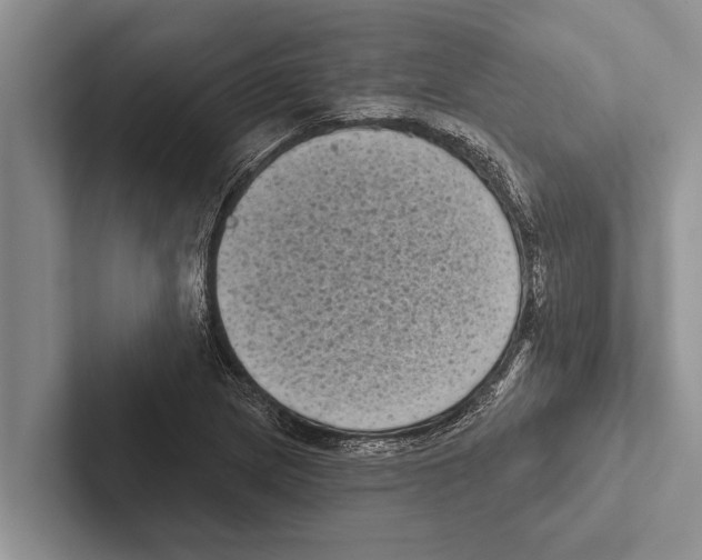 X0000102531217200809051502