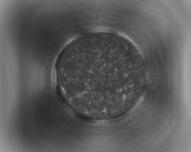 X0000102531219200809051502