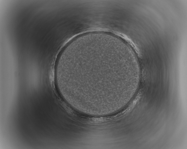 X0000102531220200809051502