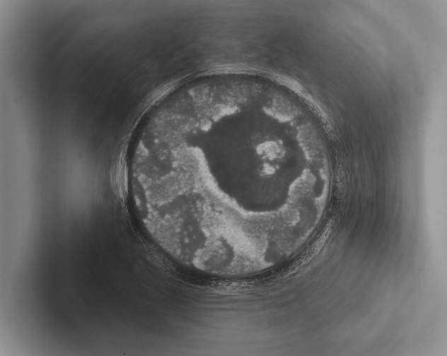 X0000102531221200809051502