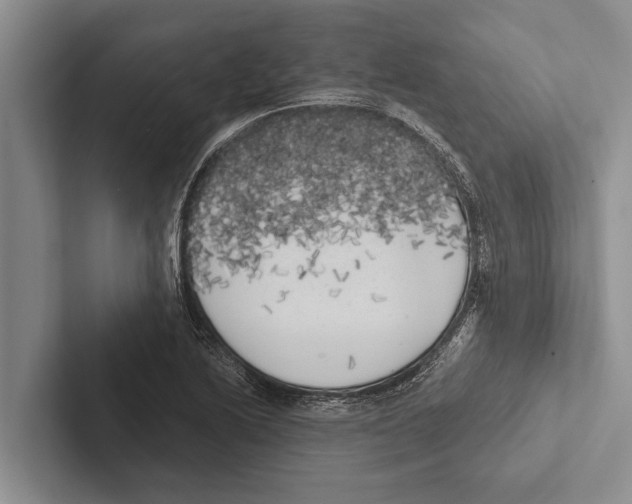 X0000102531222200809051502