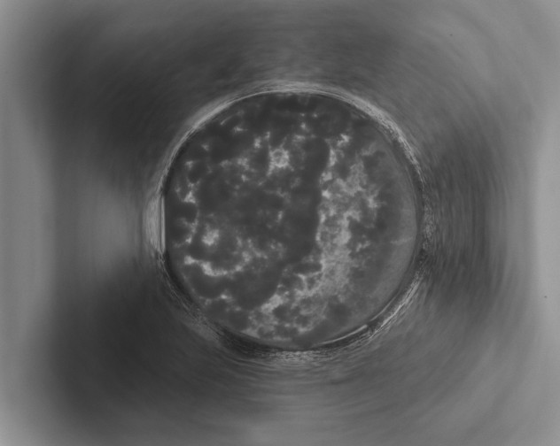 X0000102531223200809051502