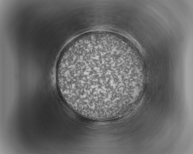 X0000102531224200809051502