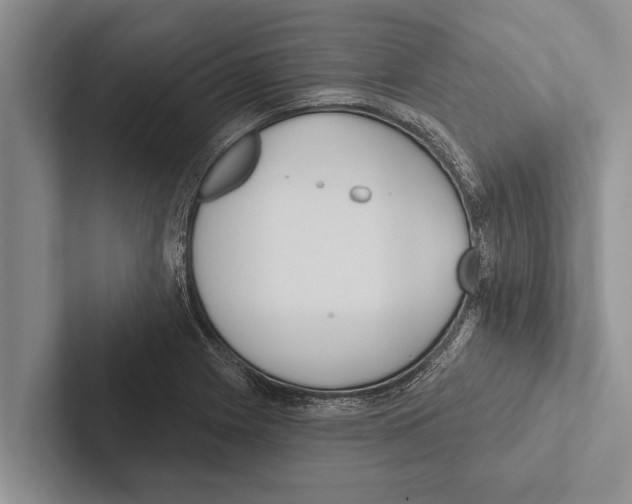 X0000102531225200809051502