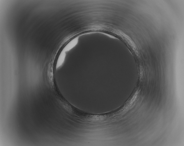 X0000102531226200809051502