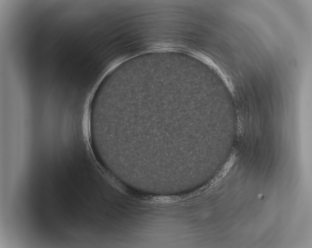 X0000102531227200809051502