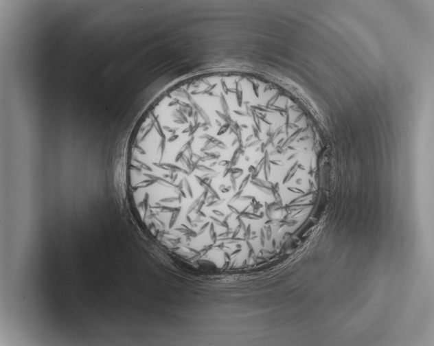 X0000102531228200809051502