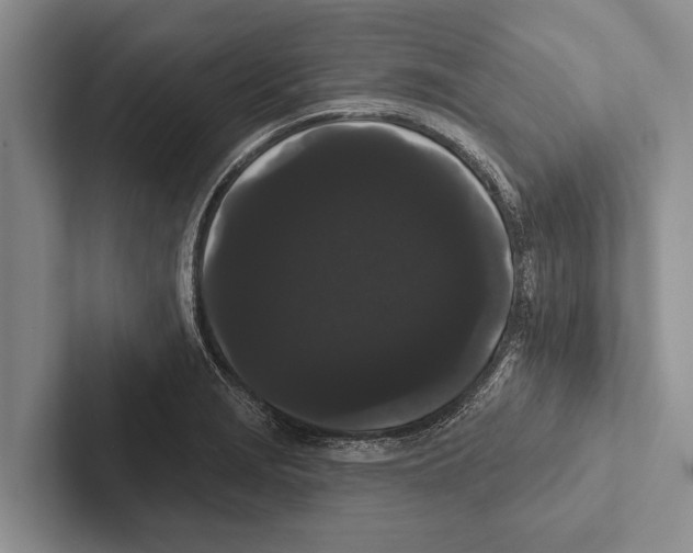 X0000102531229200809051502