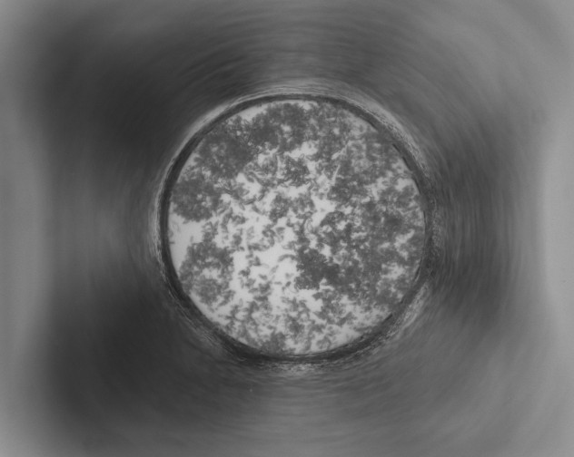 X0000102531230200809051502