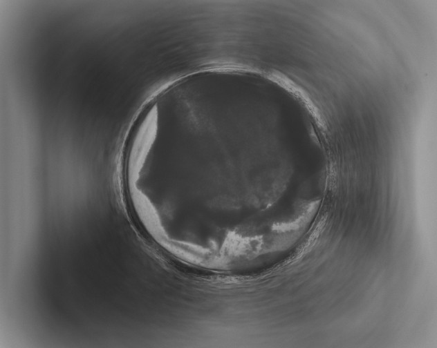 X0000102531231200809051502