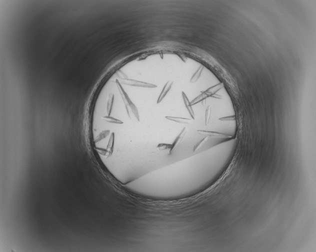 X0000102531232200809051502