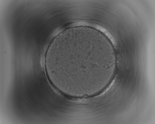 X0000102531233200809051502