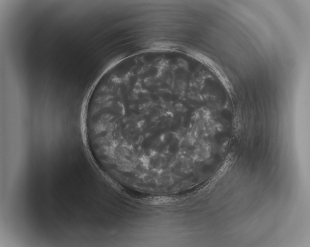 X0000102531235200809051502