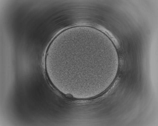 X0000102531236200809051502