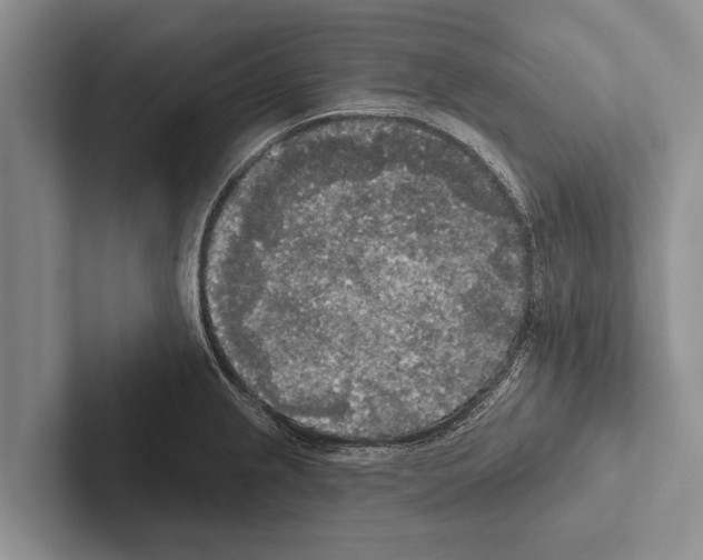 X0000102531237200809051502