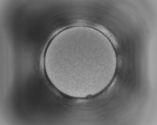 X0000102531238200809051502