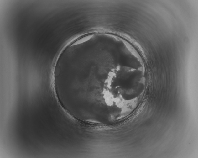 X0000102531239200809051502