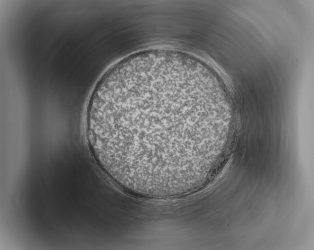 X0000102531240200809051502