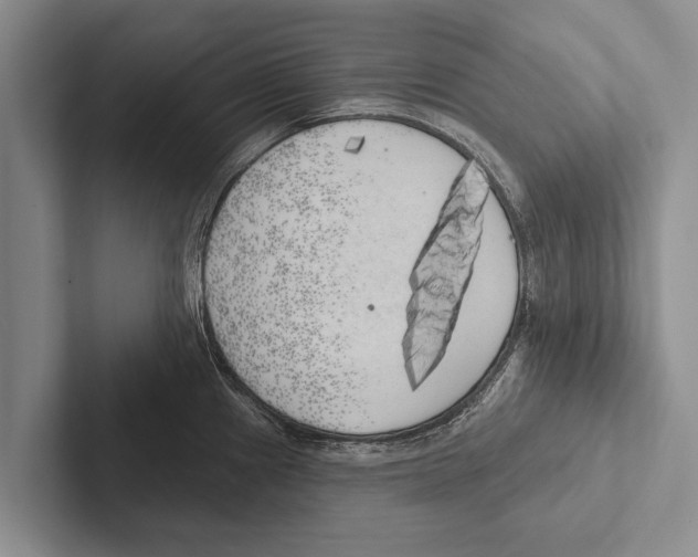 X0000102531241200809051502