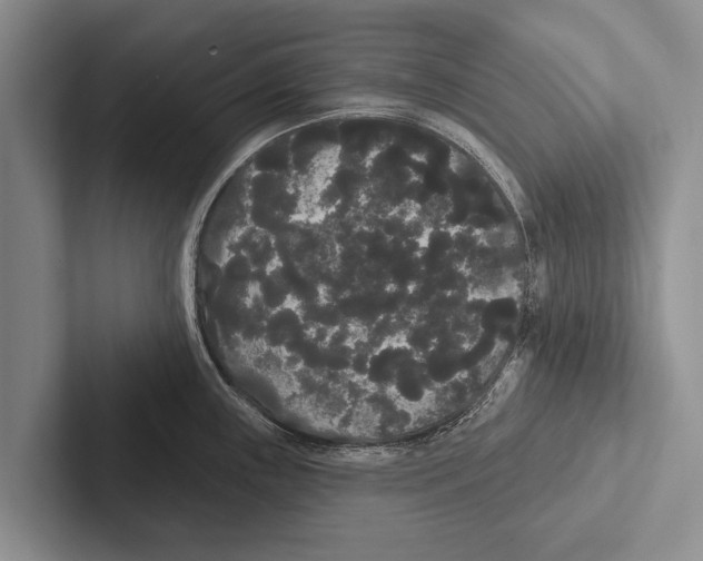 X0000102531243200809051502
