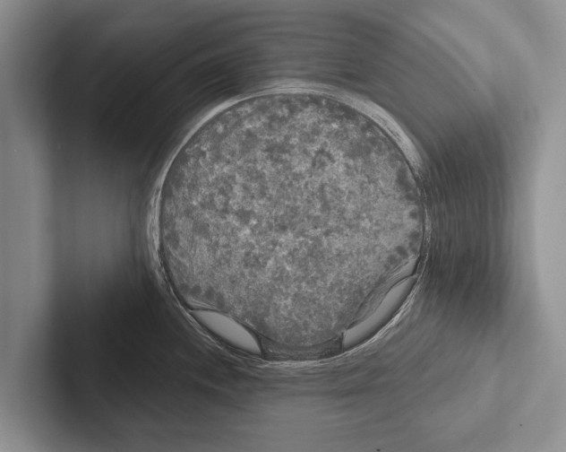 X0000102531244200809051502