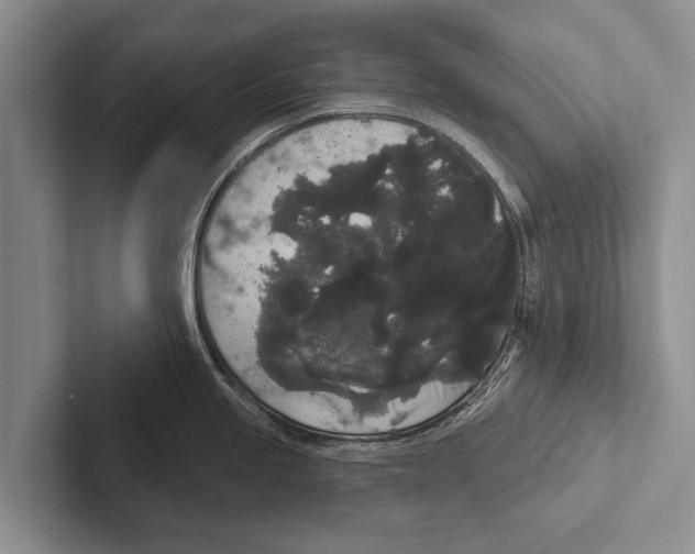 X0000102531245200809051502