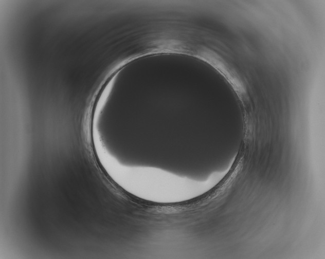 X0000102531246200809051502