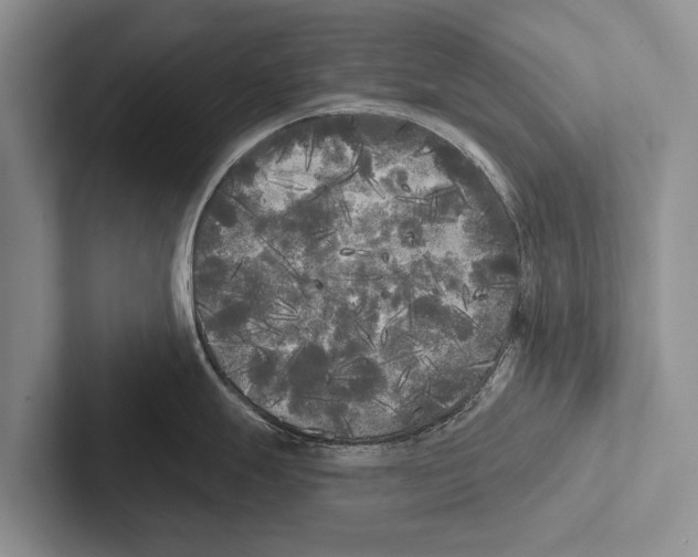 X0000102531247200809051502