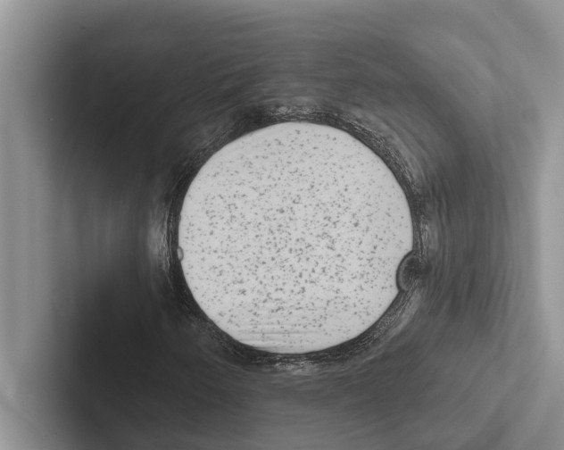 X0000102531250200809051502