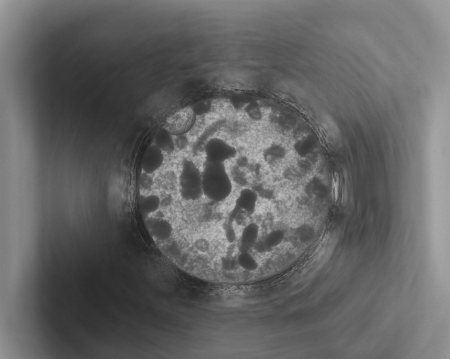 X0000102531251200809051502