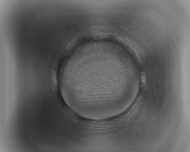 X0000102531252200809051502