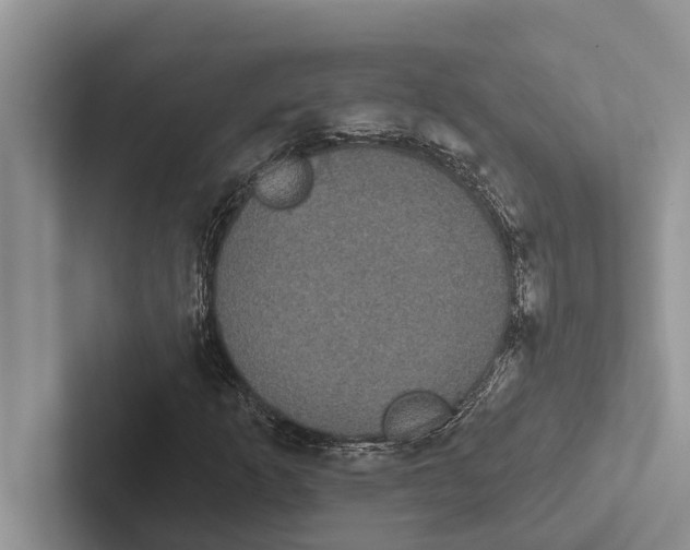 X0000102531253200809051502