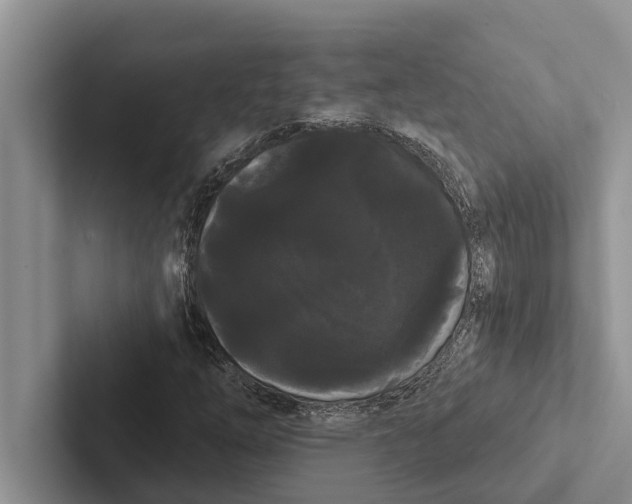 X0000102531254200809051502