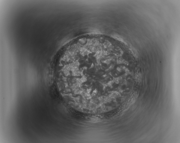 X0000102531255200809051502
