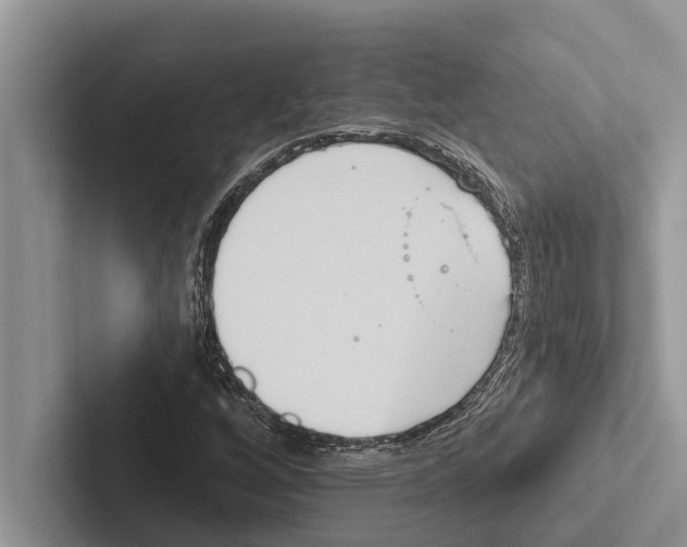 X0000102531256200809051502