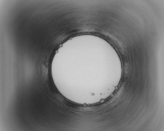 X0000102531257200809051502
