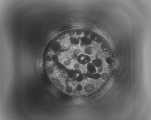 X0000102531259200809051502