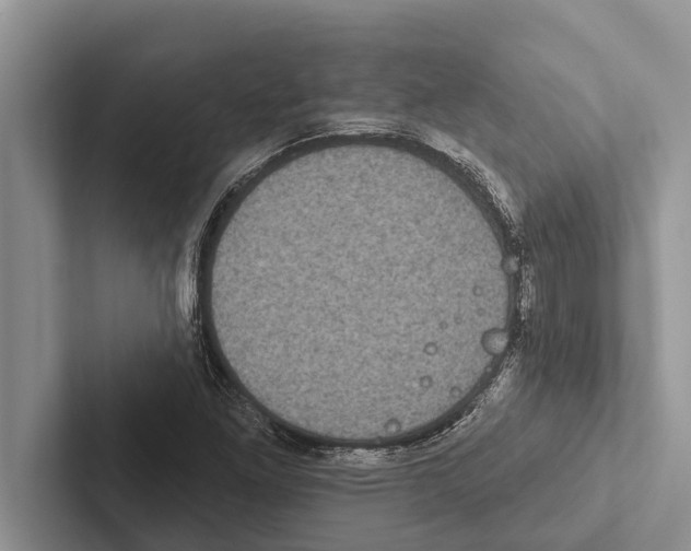 X0000102531261200809051501