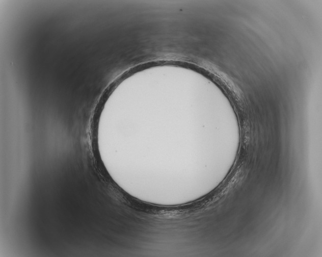 X0000102531264200809051501