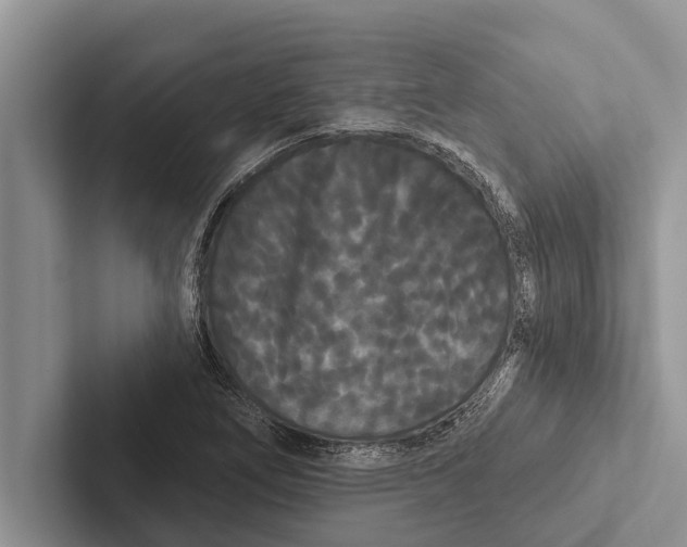 X0000102531266200809051501