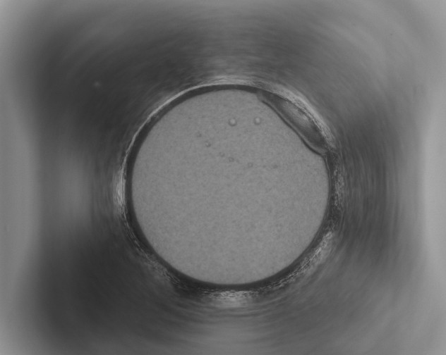 X0000102531268200809051501