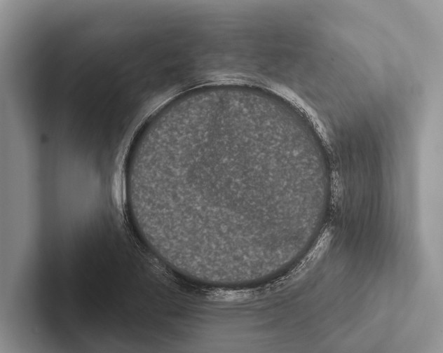 X0000102531269200809051501
