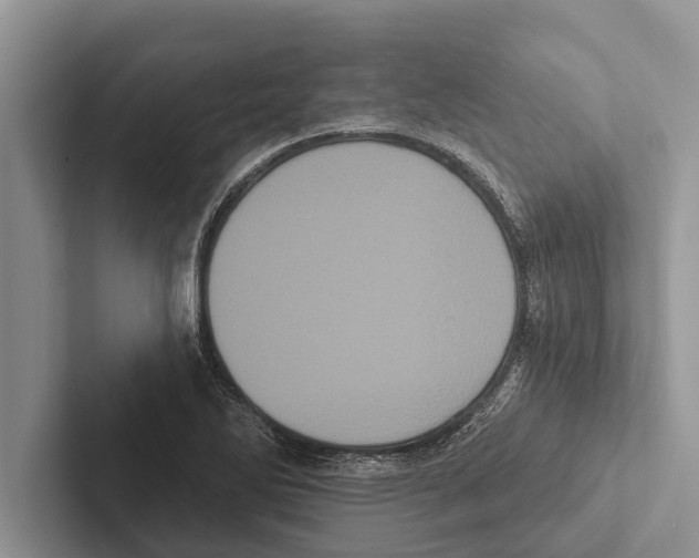 X0000102531270200809051501