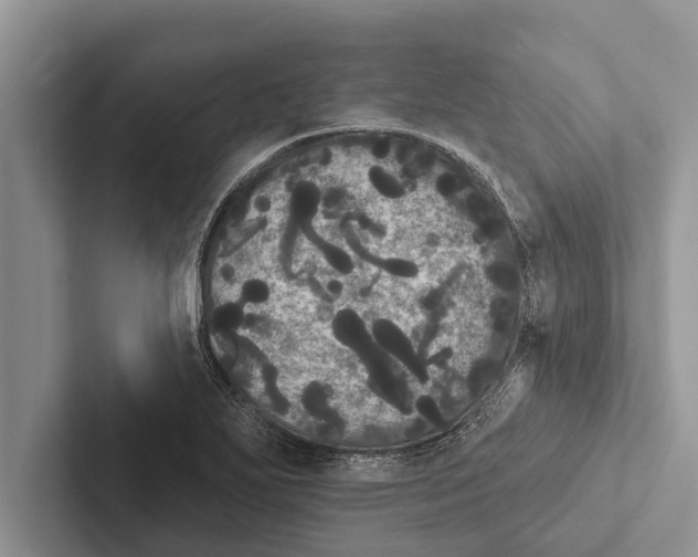 X0000102531271200809051501