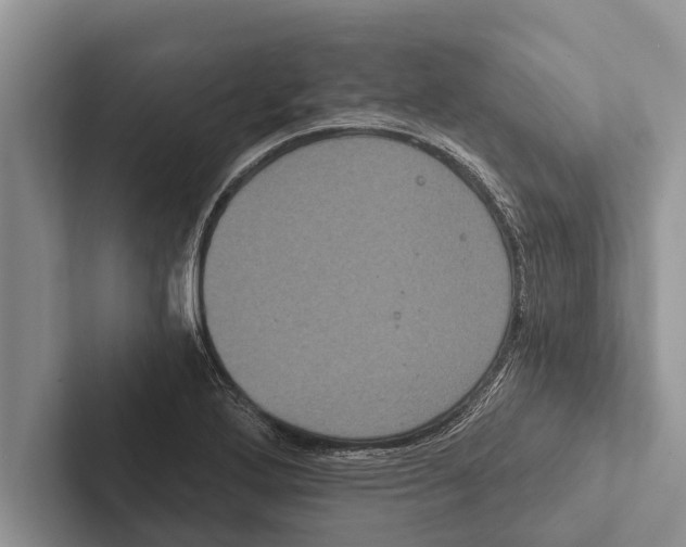 X0000102531272200809051501